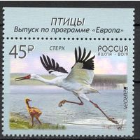Россия 2019. EUROPA Птицы 1 марка (1727)