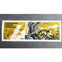 Марка СССР 1967 го Заповедник "Кедровая падь"