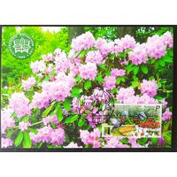 Беларусь 2022 КМ ботанический сад.