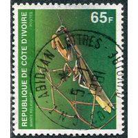 Кот-д Ивуар. Фауна. Богомол