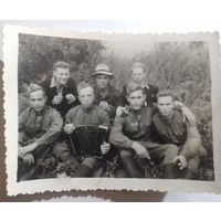 Фото в коллекцию