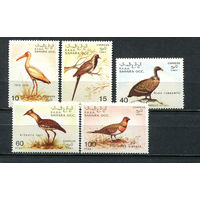 Сахара - 1991 - Птицы - 5 марок. MNH.  (Лот 53JQ)-T3P35