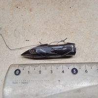 Челнок-пулька от швейной машинки с секторным ходом челнока