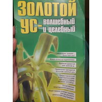 Золотой ус волшебный и целебный. (1)