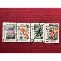 СССР 1960 год. Флора СССР