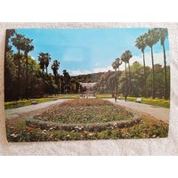 Алжир. Сад Эссаля