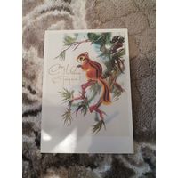 ОТКРЫТКА С Новым Годом! Каневский 1988 Бурундук на ветке елка чистая