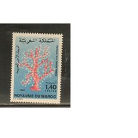 Марокко-1982(Мих.1010),  ** ,   Морская   Фауна ,  (одиночка)