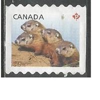 Канада. Детёныши дикой природы. 2014г. Mi#2883.