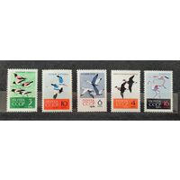 СССР 1962г. Серия из 5 марок. Птицы. **