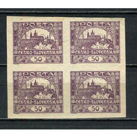 Первая Чехословацкая республика - 1919 - Градчаны в Праге 50Н - (1 кварт) - [Mi.19] - 1 марка. MH.  (Лот 35HU)-TG3P20