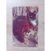 Календарик 1992