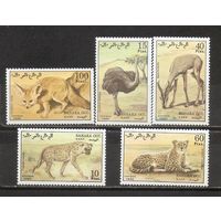 ФФ2 Сахара 1990 Фауна  3