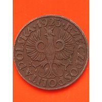 Польша II Республика (1919-1939) 2 гроша 1923 г.(2), без мц.