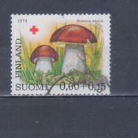 [1914] Финляндия 1974. Грибы. Гашеная марка.