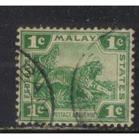 GB Малайя Федерация 1906 Тигр Стандарт #39
