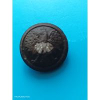 Пуговица польская