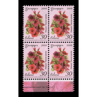 Беларусь. 2008. Стандарт.  Петуния (30р) (з.15-2011)