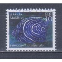[206] Мальдивы 2001. Фауна.Рыбы. Гашеная марка.