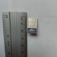 Значок Мурманск