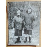 Фото в коллекцию