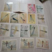 Стрекозы. худ. Аристов. Насекомые. Фауна. Природа. Комплект. Набор 15 из 16 шт.