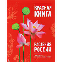 Красная книга. Растения России. 100 редких и исчезающих видов. Иллюстрированная подарочная энциклопедия. Оксана Скалдина ///