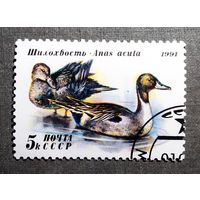 Марка СССР 1991 год Утки