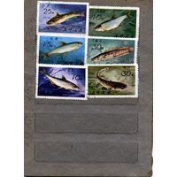 КНДР, 1975,  РЫБЫ,     серия 6м  гашен
