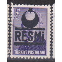 Известные люди личности Официальные марки Турция 1953 год лот 7 с НАДПЕЧАТКОЙ