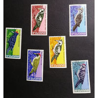 Болгария 1978 г. Дятлы. Птицы. Фауна, полная серия из 6 марок #0234-Ф1P45