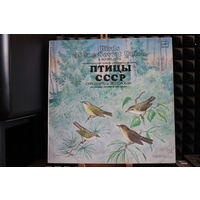 Птицы СССР - Воробьиные: Пеночки И Пересмешники (1987, Vinyl)