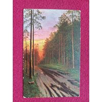 Вечерняя заря. Шишкин. Царская открытка. Кр1.