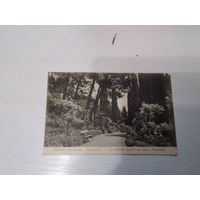 Открытое письмо Крым 1911г