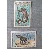 Магадаскар и Мавритания фауна 2шт