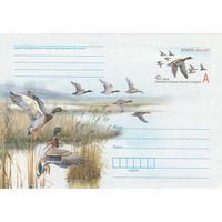 Беларусь 2011 ХМК с ОМ 40-летие Конвенции о водно-болотных угодьях (к5)