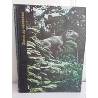 Жизнь до человека (Большой формат)