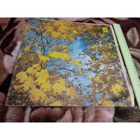 Чайковский. П. Симфония номер 3 - Светланов.