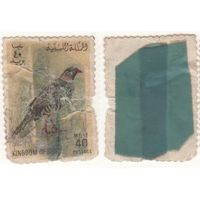 Азия 40 милс Птица (m06)