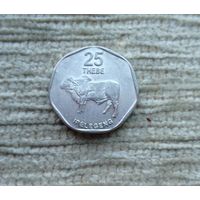 Werty71 Ботсвана 25 тхебе 2009