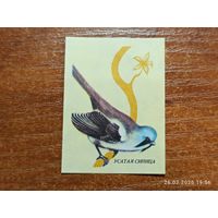 Спичечная этикетка Усатая Синица