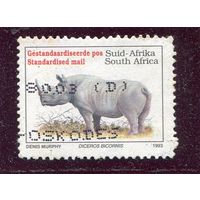 ЮАР. Фауна. Носорог