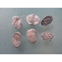 Чешуйки 6 шт.