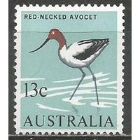 Австралия. Птицы. Австралийская шипоклювка. 1966г. Mi#368.