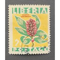Либерия.1955.Цветы (1 марка)