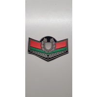 Шеврон ВВ МВД Беларусь