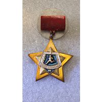 Знак значок дембельское творчество,звезда бронза