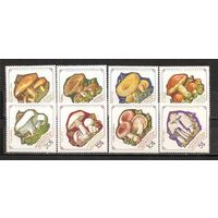 ФФ1 Монголия 1964 Грибы