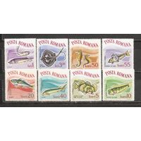 ФФ1 Румыния 1964 Рыбы