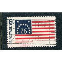 США. Флаг Бенингстона